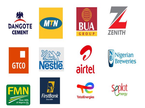 Top 20 Companies in Nigeria: Their Capital Share, Achievements, and Lessons to Learn